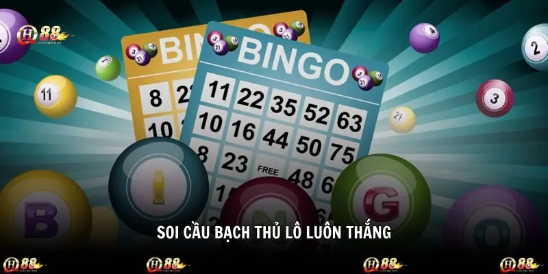 Soi cầu bạch thủ lô bất bại dành cho newbie mới làm quen